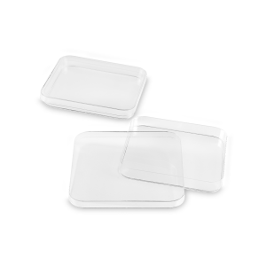 Boites de Pétries en plastique carrée 120*120mm