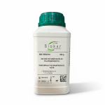 Gélose sabouraud au chloramphénicol